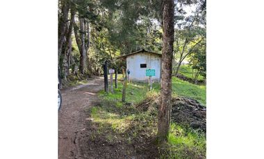 Venta de finca en el tambo