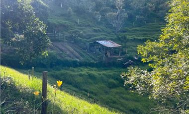Venta de finca en el tambo