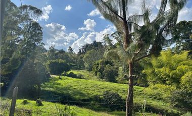 Venta de finca en el tambo