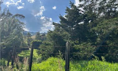 Venta de finca en el tambo