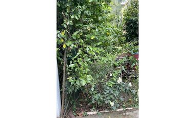 Venta casa Campestre Villa del Prado, Mariquita