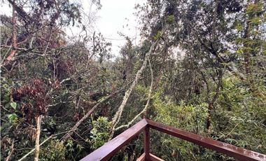 FINCA EN SANTA ELENA CON 5 CABAÑAS EN EL BOSQUE Y QUEBRADA