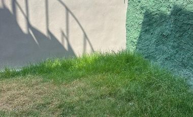 Casas en renta en Ceiba Arborada