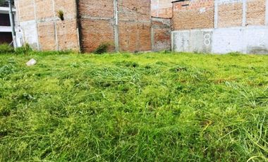 LOTE EN VENTA PALMIRA SECTOR BOSQUE MZ 8 