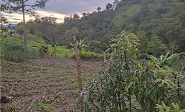 ACSI 1142. Se vende finca en Anolaima.