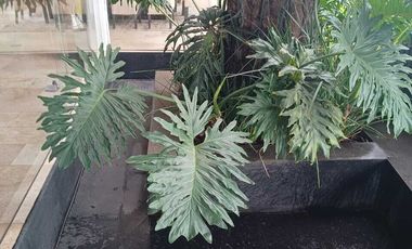 Casa en renta en Avandaro