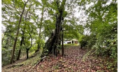 CASA DUPLEX EN CERRO ANCON 4REC  4.5 B 1400M2 RODEADA DE NATURALEZA