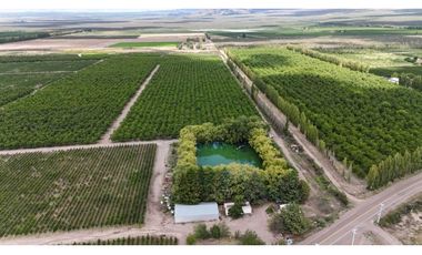 VENTA DE EXCLUSIVA FINCA DE 74,5 HAS - SAN CARLOS, MENDOZA.