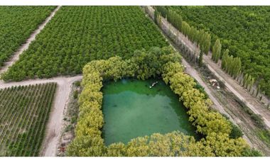 VENTA DE EXCLUSIVA FINCA DE 74,5 HAS - SAN CARLOS, MENDOZA.