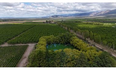 VENTA DE EXCLUSIVA FINCA DE 74,5 HAS - SAN CARLOS, MENDOZA.