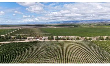 VENTA DE FINCA ÚNICA DE 275 HAS - EN TUNUYAN, MENDOZA.