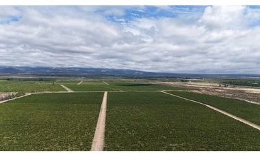 VENTA DE FINCA ÚNICA DE 275 HAS - EN TUNUYAN, MENDOZA.