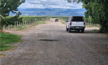 VENTA DE FINCA ÚNICA DE 275 HAS - EN TUNUYAN, MENDOZA.