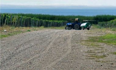 VENTA DE FINCA ÚNICA DE 275 HAS - EN TUNUYAN, MENDOZA.