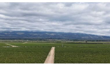 VENTA DE FINCA ÚNICA DE 275 HAS - EN TUNUYAN, MENDOZA.