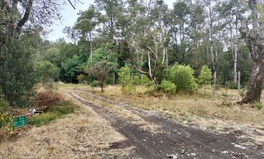 ARRIENDO AÑO CORRIDO ÑANCUL