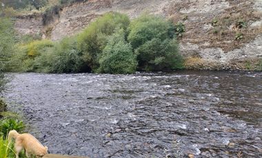 ARRIENDO AÑO CORRIDO ÑANCUL