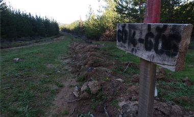 Tu Oasis en La Palma: Terreno de 5000 m² en Venta