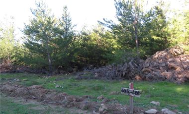Tu Oasis en La Palma: Terreno de 5000 m² en Venta