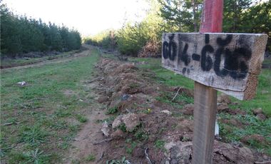 Tu Oasis en La Palma: Terreno de 5000 m² en Venta