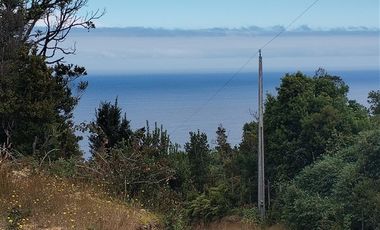 Parcela en Venta en Sector Llico bajo, comuna de los Muermos