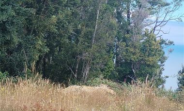 Parcela en Venta en Sector Llico bajo, comuna de los Muermos