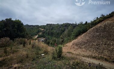 Parcela en Venta en Sector Llico bajo, comuna de los Muermos