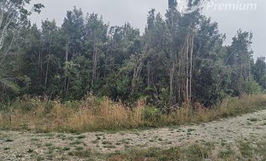 Parcela en Venta en pato Llico