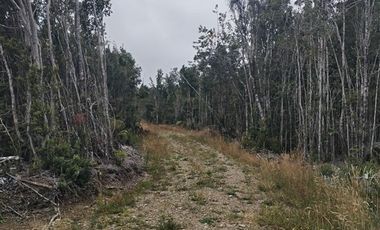 Parcela en Venta en pato Llico