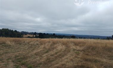 Parcela en Venta en pato Llico