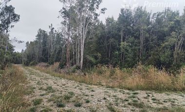 Parcela en Venta en pato Llico