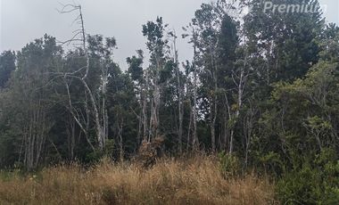 Parcela en Venta en pato Llico