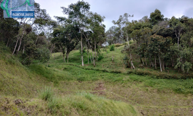 Terreno en Venta Ubicado en EL RETIRO Codigo 2586