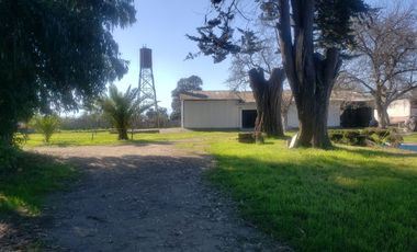 ISLA DE MAIPO