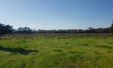 ISLA DE MAIPO