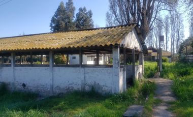 ISLA DE MAIPO