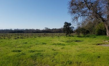 ISLA DE MAIPO
