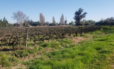 ISLA DE MAIPO