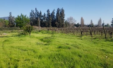 ISLA DE MAIPO