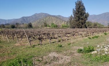 ISLA DE MAIPO