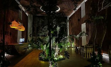 Renta departamento AMUEBLADO en Tulum  Quintana Roo