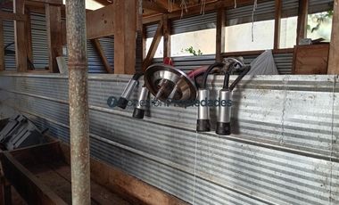 Agrícola en Venta en Venta Hermoso Campo, Los Muermos