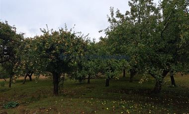 Agrícola en Venta en Venta Hermoso Campo, Los Muermos