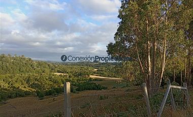 Agrícola en Venta en Venta Hermoso Campo, Los Muermos