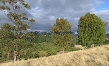 Agrícola en Venta en Venta Hermoso Campo, Los Muermos