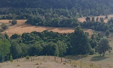 Agrícola en Venta en Venta Hermoso Campo, Los Muermos