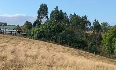 Agrícola en Venta en Venta Hermoso Campo, Los Muermos