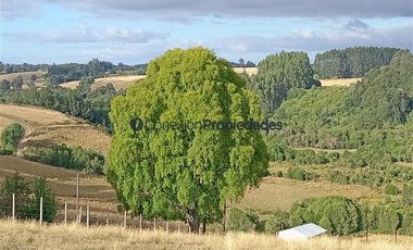 Agrícola en Venta en Venta Hermoso Campo, Los Muermos