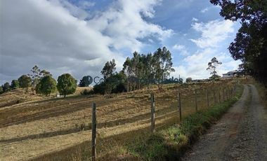 Agrícola en Venta en Venta Hermoso Campo, Los Muermos