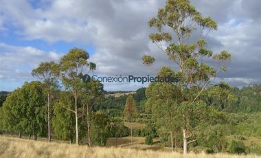 Agrícola en Venta en Venta Hermoso Campo, Los Muermos